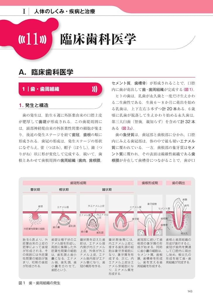 言語聴覚士テキスト 第4版 | 大森 孝一, 永井 知代子, 深浦 順一, 渡邉