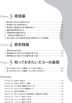 運動器エコーのメタ診療: 実臨床に役立つAR動画100本付き | 皆川 洋至
