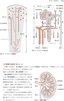 東洋療法学校協会編教科書 解剖生理 | (公社)東洋療法学校協会, 上田