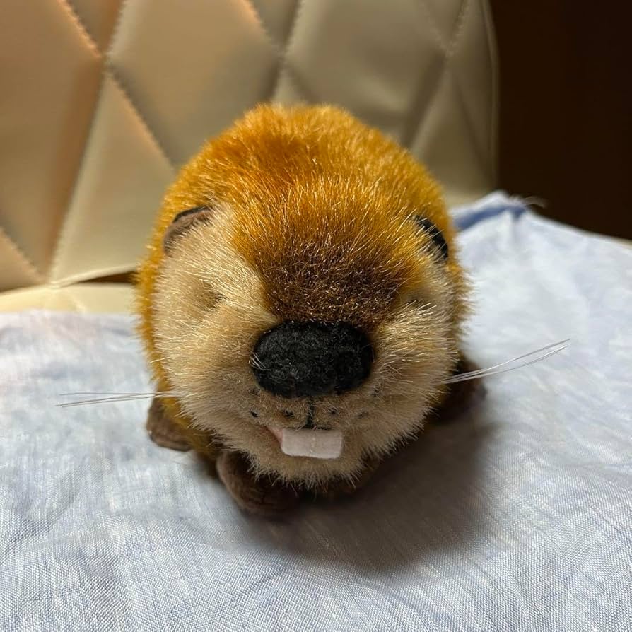 Amazon.co.jp: SUPER BEAVER×吉徳 ぬいぐるみ スーパービーバーちゃん