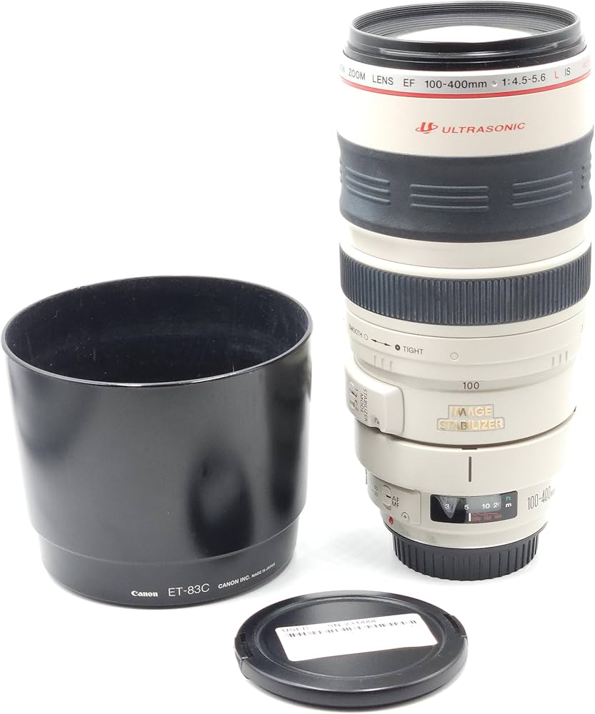 Amazon.com : Canon EF 100-400mm f/4.5-5.6L is USM Telephoto Zoom