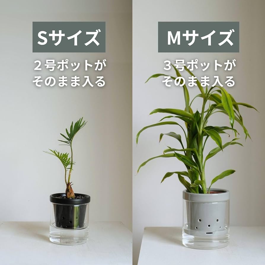 71O953hhjwL._AC_UF894,