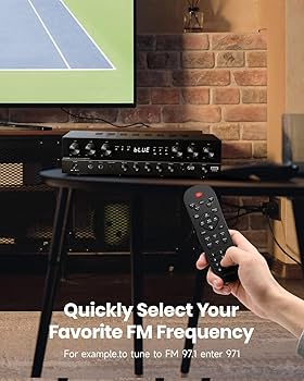 Amazon.co.jp: Donnerパワーアンプ、プレミアム1000Wピークパワー6