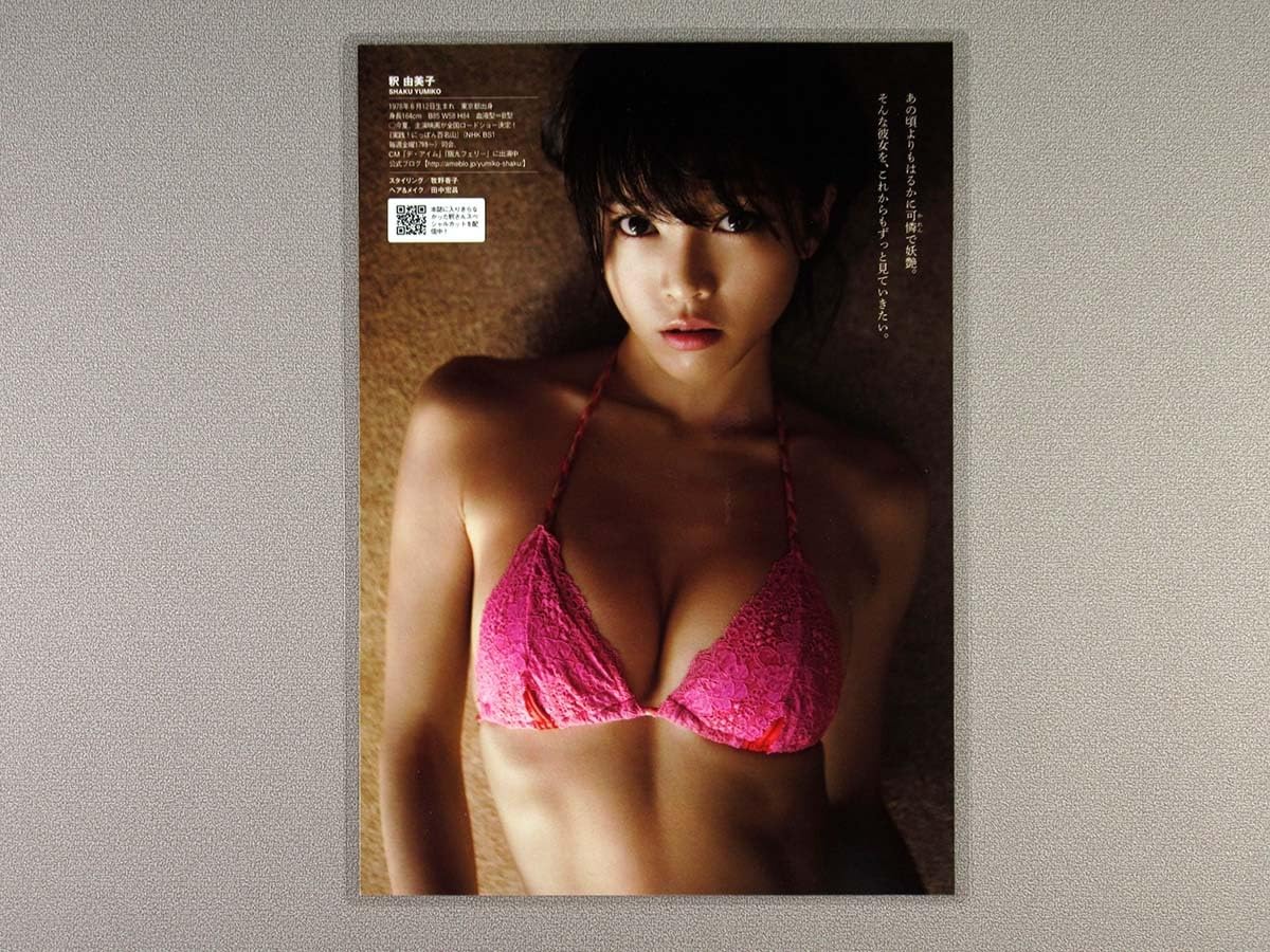 Amazon.co.jp: 釈由美子 切り抜き ラミネート加工［週刊プレイボーイ