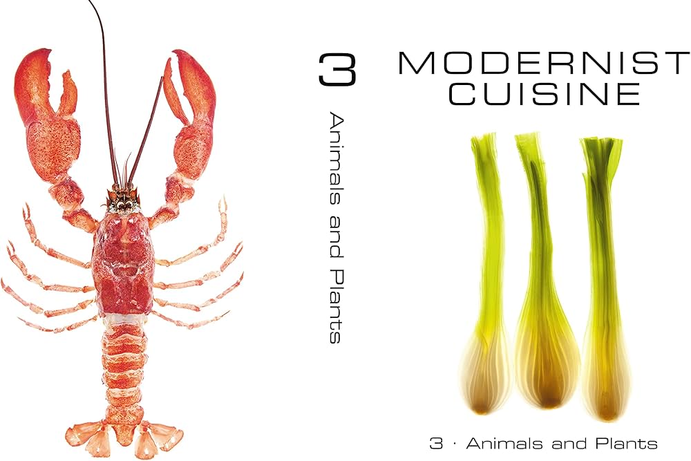 Amazon | Modernist Cuisine: The Art & Science of Cooking
