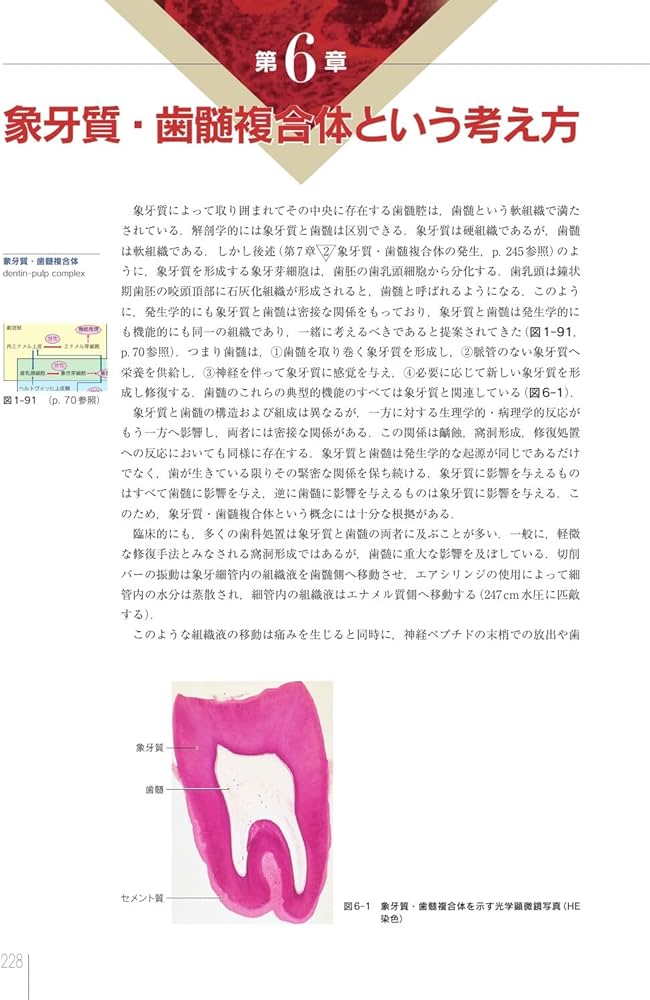 Amazon.co.jp: 決定版 治癒の病理: 臨床の疑問に基礎が答える : 下野