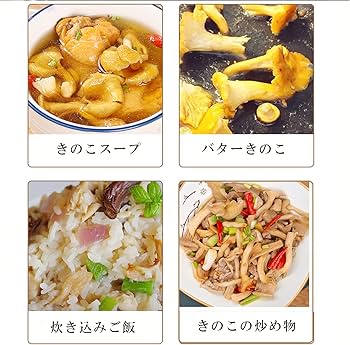 Amazon.co.jp: 乾燥 たもぎ茸 たもぎたけ 黄金たもぎだけ スーパー健康