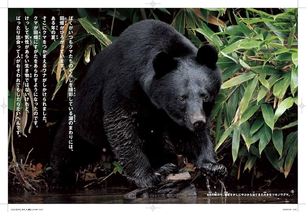 ともに生きる 山のツキノワグマ | 前川貴行, 前川貴行 |本 | 通販 | Amazon