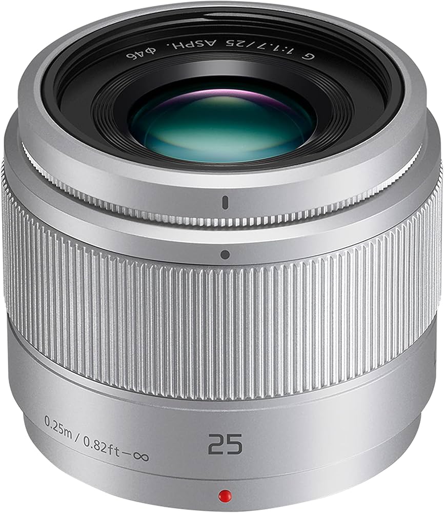 Amazon.com : Panasonic LUMIX H-H025E-K 25 mm Micro Four Thirds