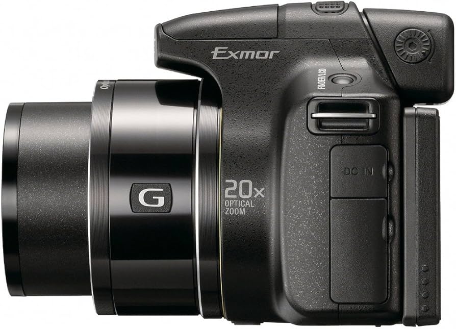 Amazon.com : Sony Cybershot DSC-HX1 9.1MP 20x Optical Zoom Digital