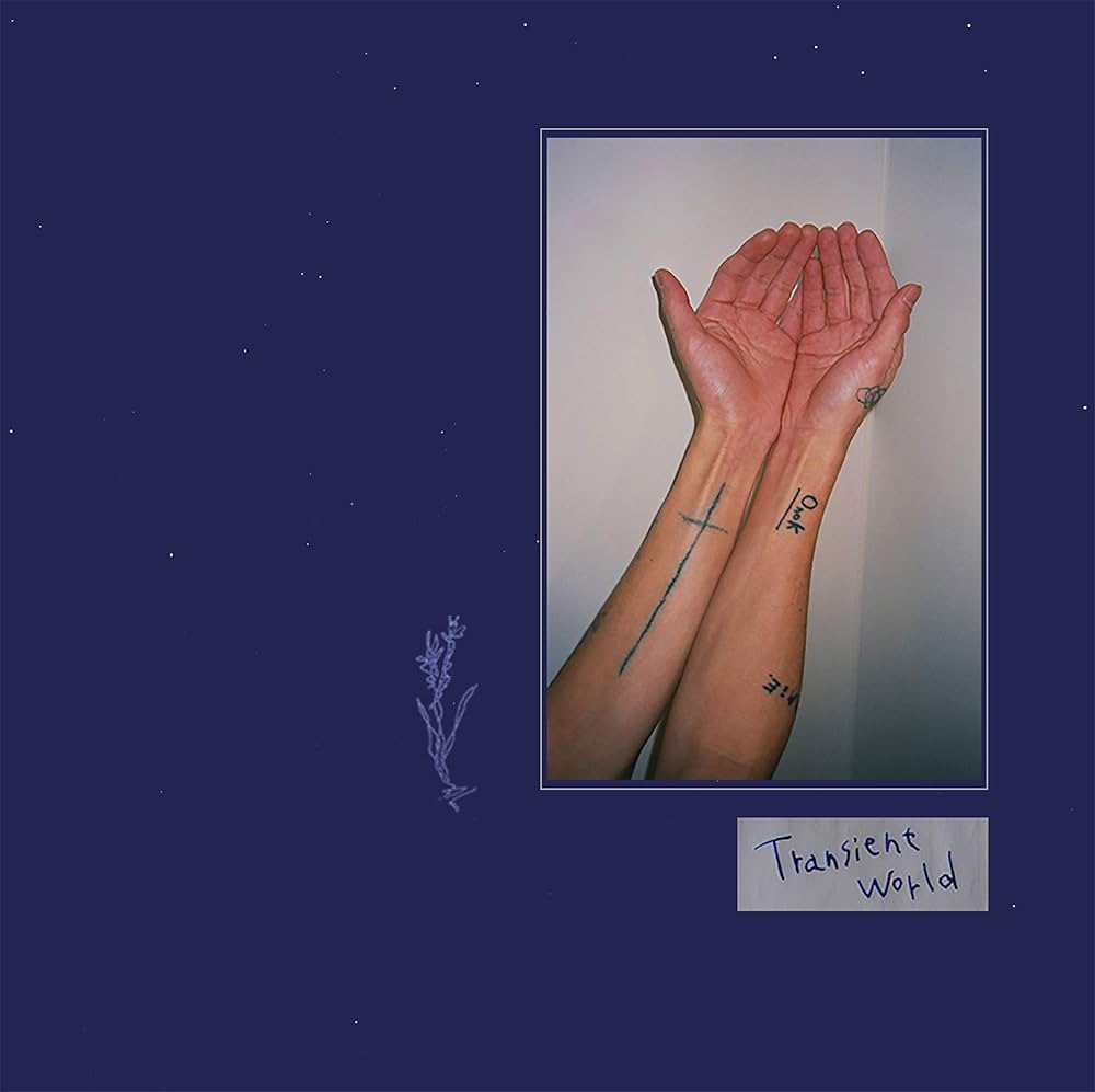 Amazon.co.jp: Transient world: ミュージック