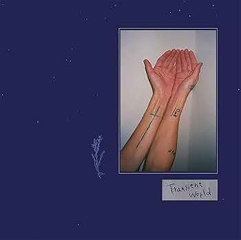 Amazon.co.jp: Transient world: ミュージック