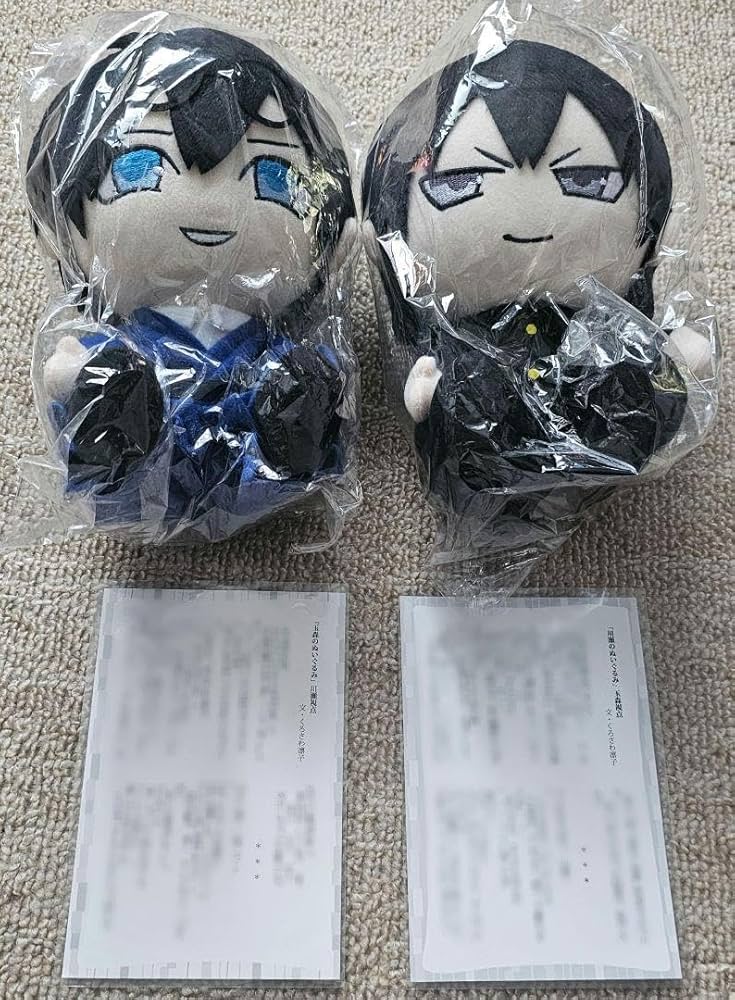 Amazon.co.jp: 古書店街の橋姫 川瀬玉森ぬいぐるみ SSセット : おもちゃ