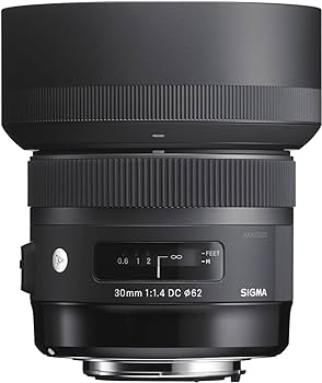 Amazon.com : Sigma 30mm F1.4 Art DC HSM Lens for Canon : Digital