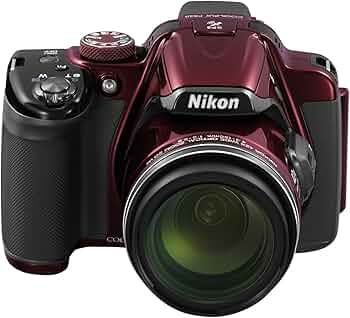 71TEJSn6dCL._AC_UF350,