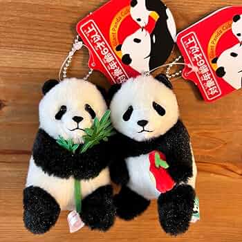 71TNTJYbWxL._AC_UF350,