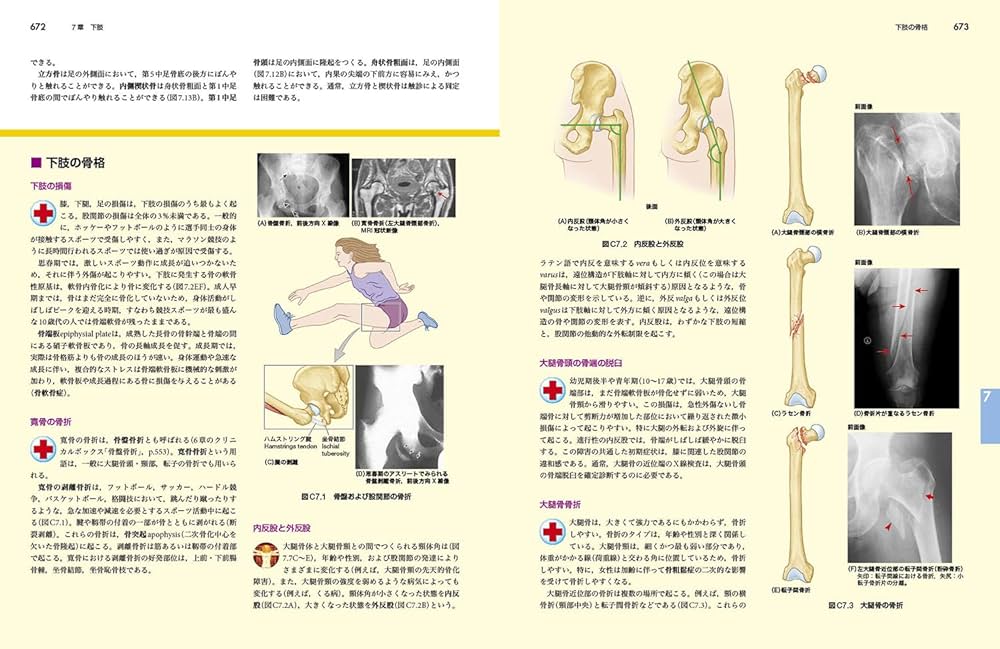 臨床のための解剖学 第3版 | 佐藤 達夫, 坂井 建雄 |本 | 通販 | Amazon