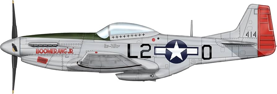 Amazon.com: Hobby Master 1/48 P-51D Mustang Boomerang Jr. (Japón