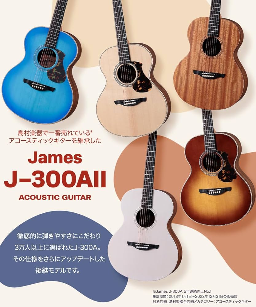 Amazon | James J-300AII アコースティックギター初心者12点セット