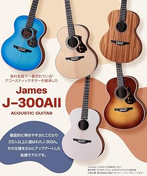 Amazon | James J-300AII アコースティックギター初心者12点セット