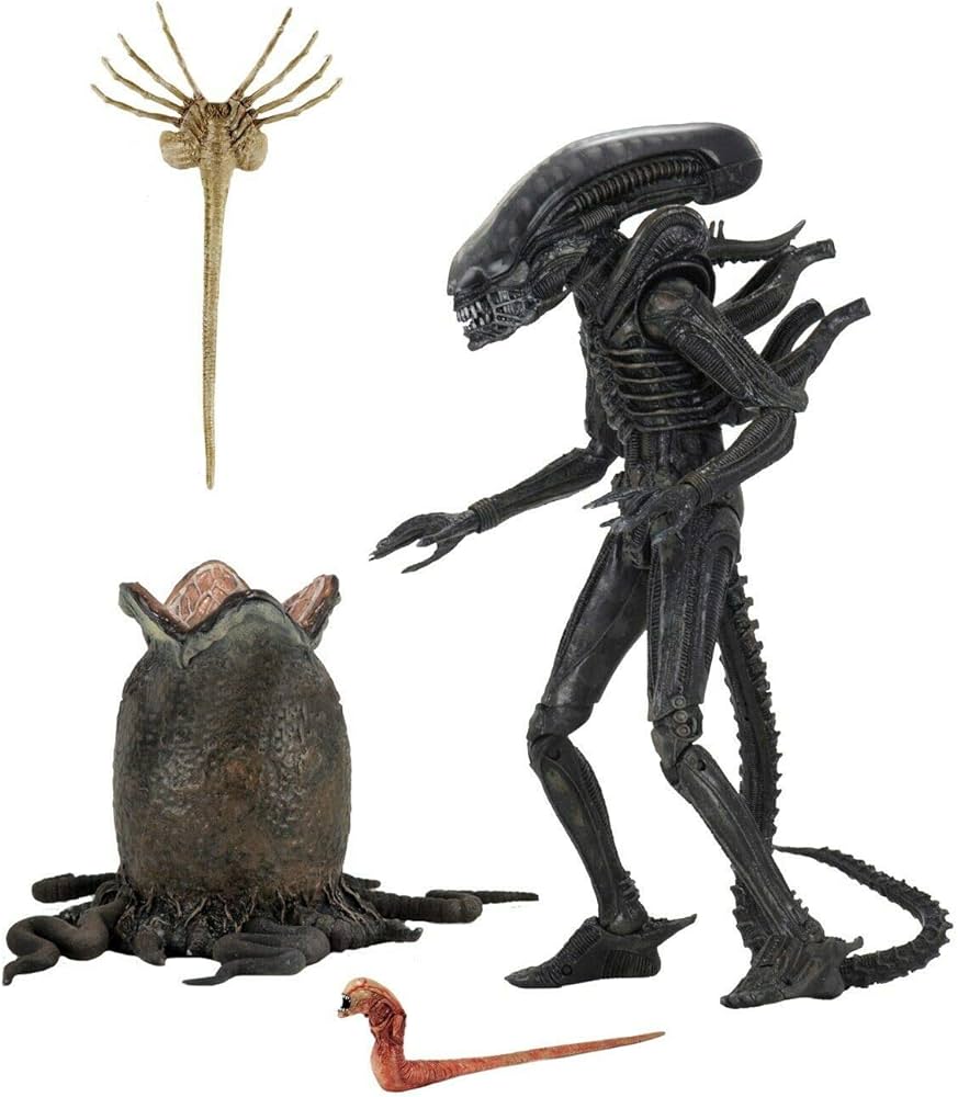 Amazon.com: Alien - 7