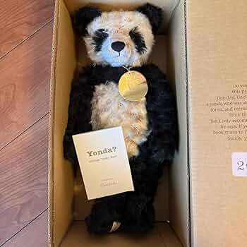 71UV-KBrvuL._AC_UF350,