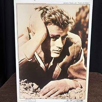 Amazon | ジェームズ ディーン、 ジグソーパズル 、500ピース 、James