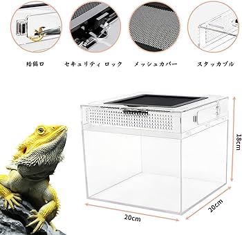 Amazon | Reptile Growth 小型爬虫類 ケージ 透明 爬虫類ケージ 飼育
