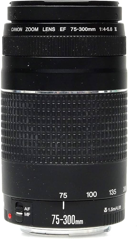 Amazon.com : Canon EF 75-300mm f/4-5.6 III Telephoto Zoom Lens for