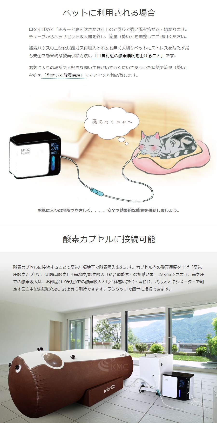 Amazon.co.jp: 酸素発生器 M1O2-Hybrid(エムワンオーツーハイブリッド