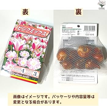 Amazon.co.jp: ITANSE 球根 チューリップ ピンクミックス 7球