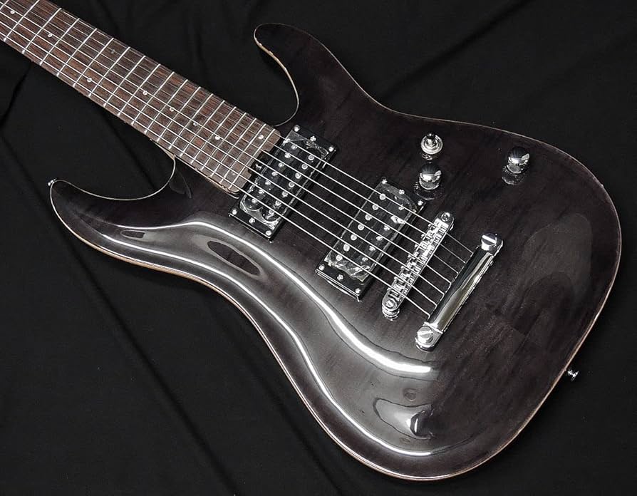 Amazon | SCHECTER JOL-CT-7 STBK フレイムメイプルトップ シェクター