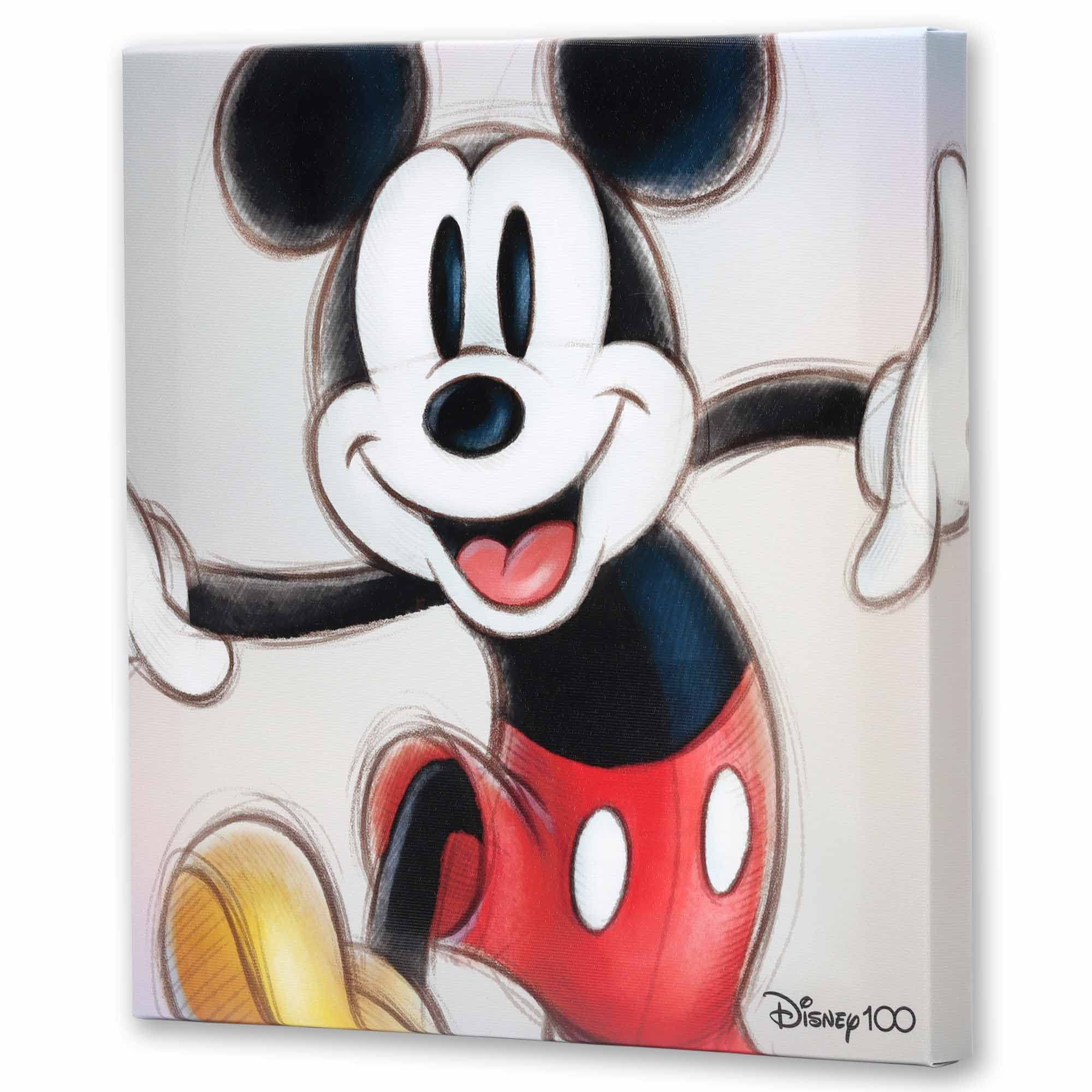 Amazon.com: Open Road Brands Disney Mickey Mouse Sketch Gallery