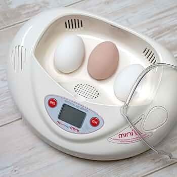 71X58KCgn-L._AC_UF350,