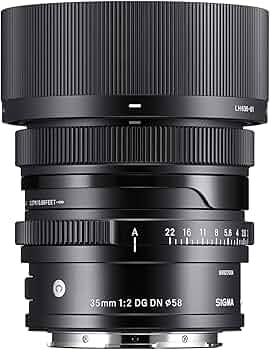 71YKocXyrIL._AC_UF350,