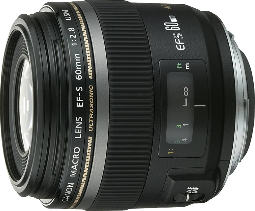 Canon 60mm f/2.8 EF-S Macro USM : Amazon.ca: Electronics
