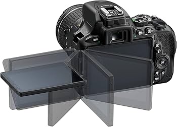 Amazon.com : D5600 DX-Format Digital SLR w/AF-P DX NIKKOR 18-55mm