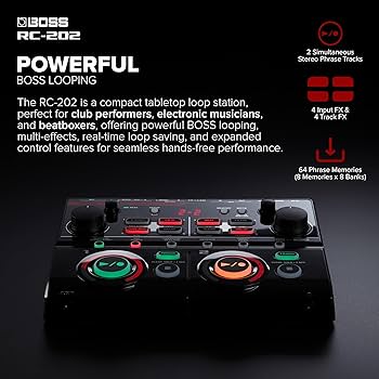 Amazon.com: BOSS RC-202 Loop Station | Fingertip Looping for