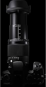 Amazon.co.jp: シグマ(Sigma) SIGMA 18-300mm F3.5-6.3 DC MACRO HSM