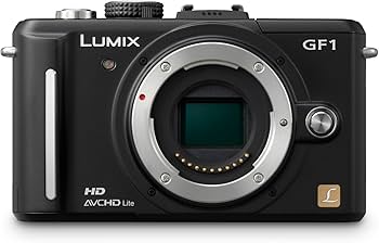 Amazon.com : Panasonic Lumix DMC-GF1 12.1MP Micro Four-Thirds