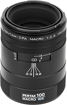 Amazon.com : Pentax 100mm f/2.8 WR D FA smc Macro Lens for Pentax