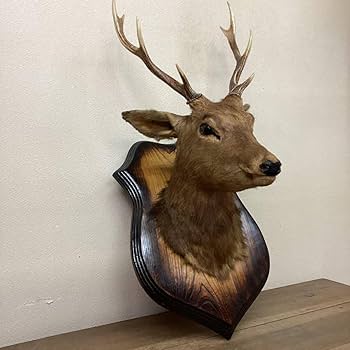 Amazon.co.jp: 鹿剥製ハンティングトロフィーインテリアオブジェ壁掛け