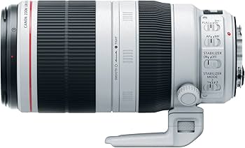 Amazon.com : Canon EF 100-400mm f/4.5-5.6L is II USM Lens, Lens