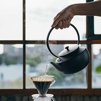 Amazon.com: BALMUDA MoonKettle | Electric Kettle with Temp Control