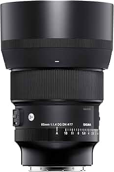 Amazon.com : Sigma 85mm F1.4 DG DN Sony E (322965), Black