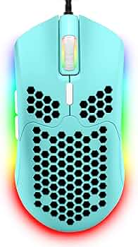 71BxFppBoQL._AC_UF350,