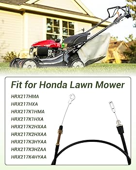 71CGLjJt9ZL._AC_UF350,