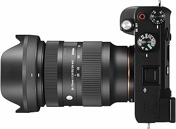 Amazon.com : Sigma 28-70mm F2.8 DG DN for Sony E Black : Electronics