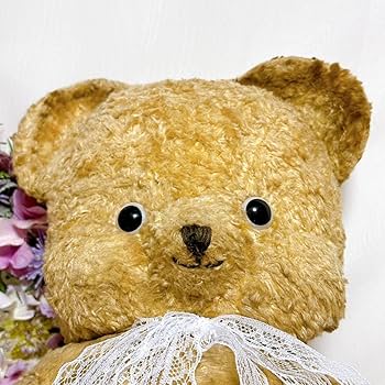 71C3DMmPkgL._AC_UF350,