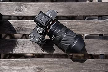 Tamron 17-28 mm F/2.8 Di III Rxd Lens for Sony E Cameras, A046SF